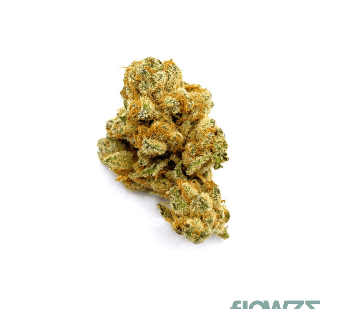Medizinal-Cannabisblüten Typ 2 DEMECAN 16:01 [Orange Velvet]