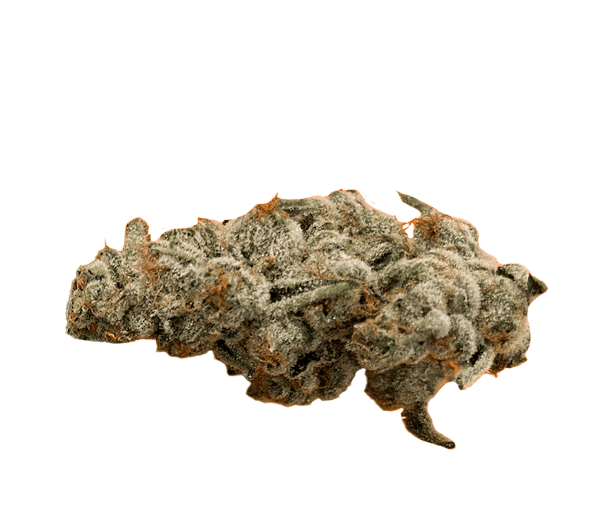 420 Evolution 30/1 PCH CA - Peach Chementine 