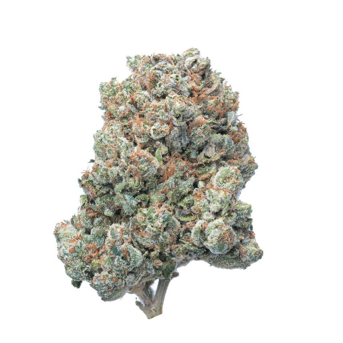 Peace Naturals 31/1 OK - OG Kush