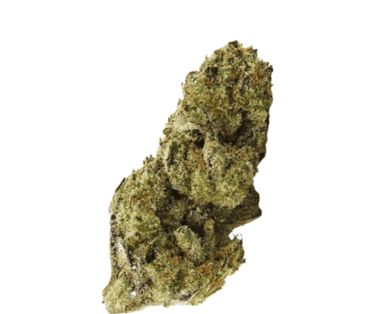 BC Green 24/1 A&G - Apple & Gas