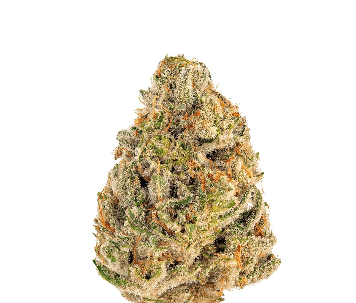 Demecan Core Veloz 27:01 - Power Demecan Core Veloz 27:01 - Power