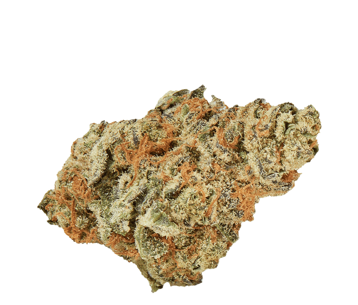 bava med 29/1 MON-BU Monkey Butter