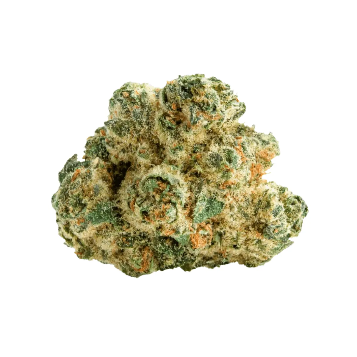 LIT 31/1 MKU Master Kush