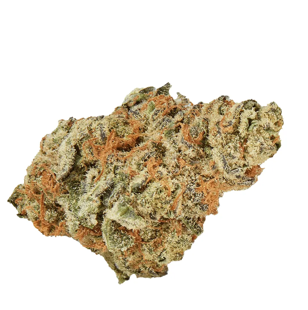 bava med 29/1 MON-BU Monkey Butter