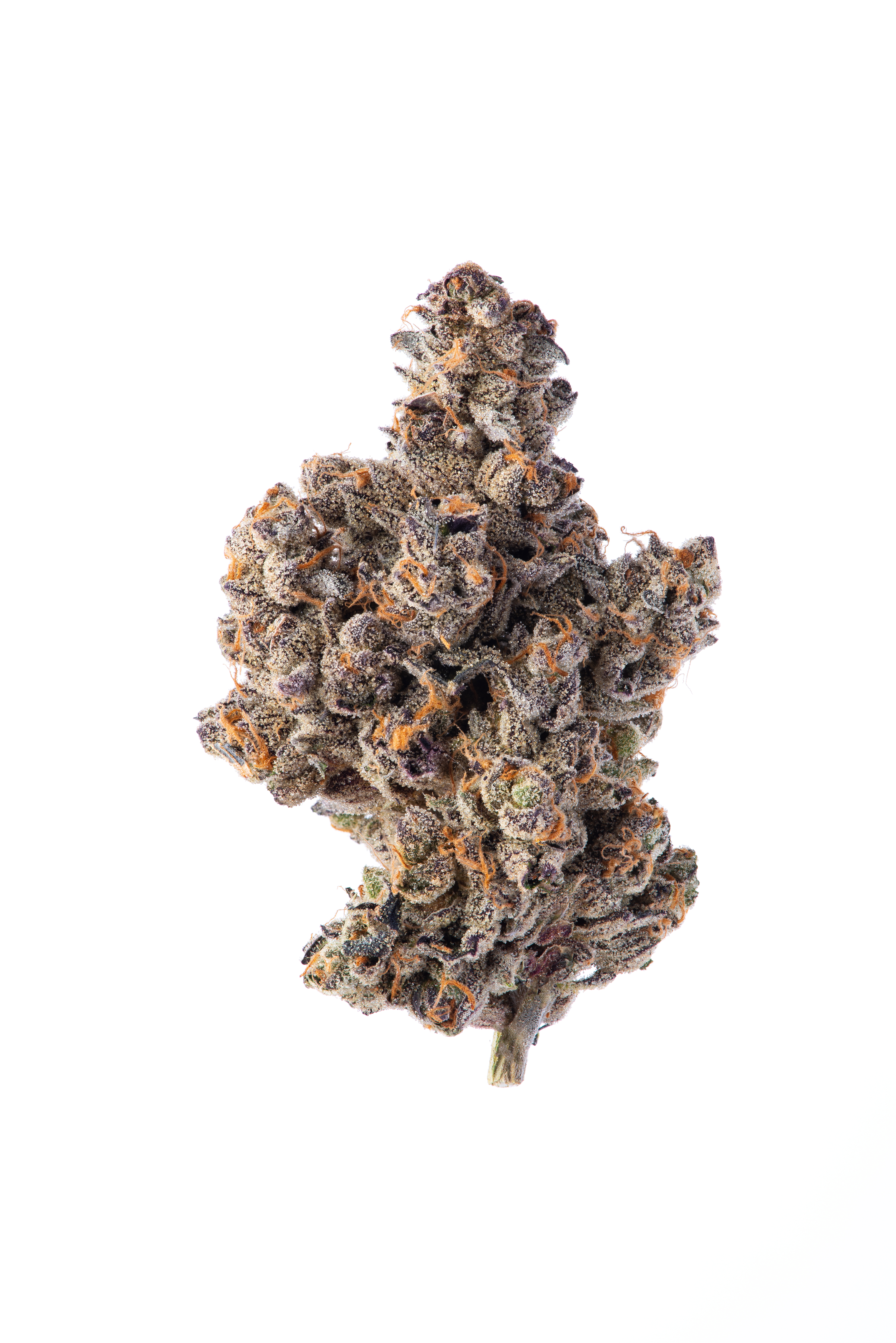 COOKIES A&B 22/1 Cannabisblüten Substanz