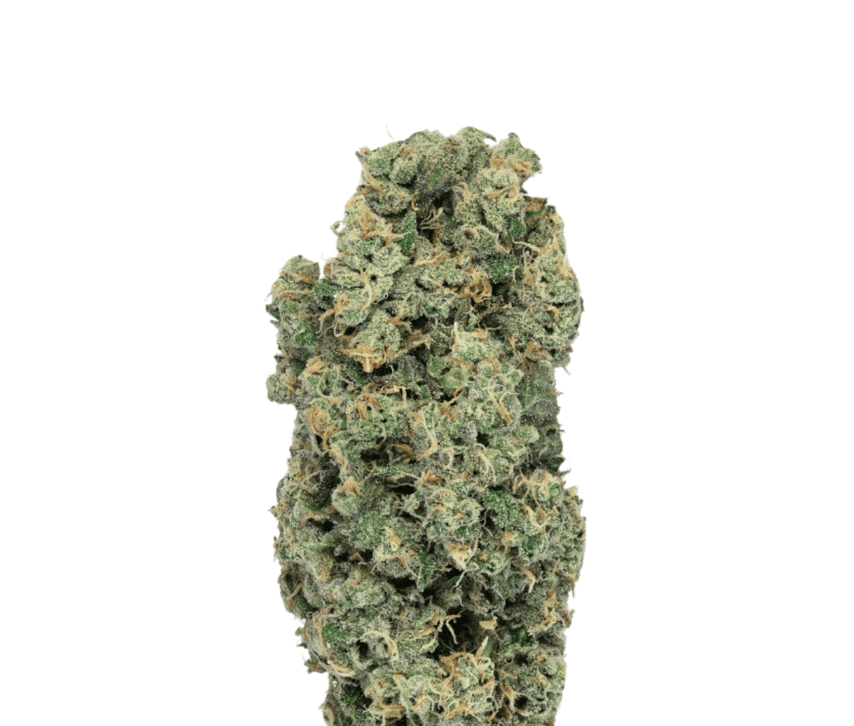 Soma OG 30/1 PF - Spritzer