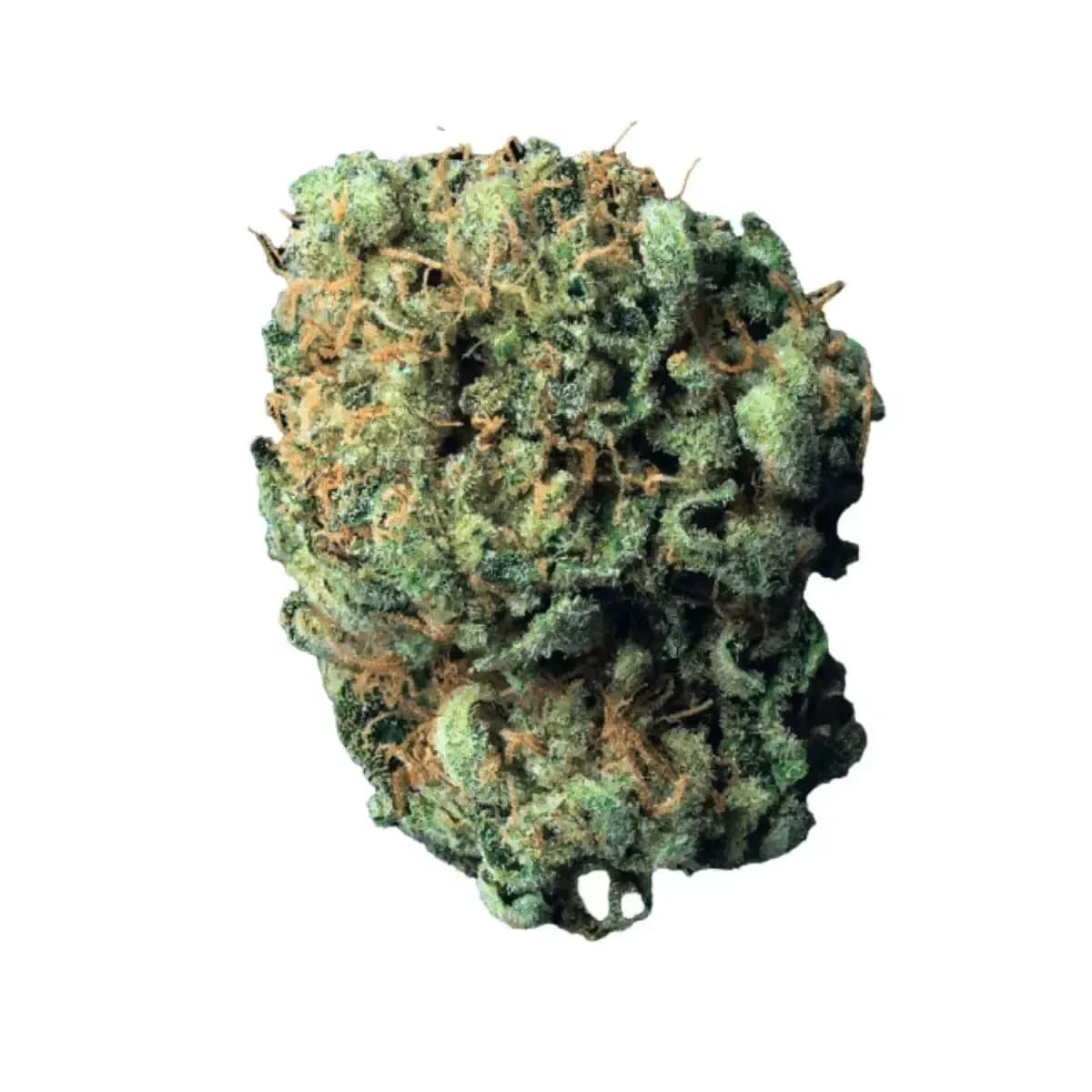 mediproCan Calyx Pure 28/1 - OG Kush