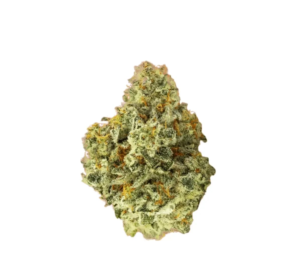 HUALA 20/1 ALM Alien Mints