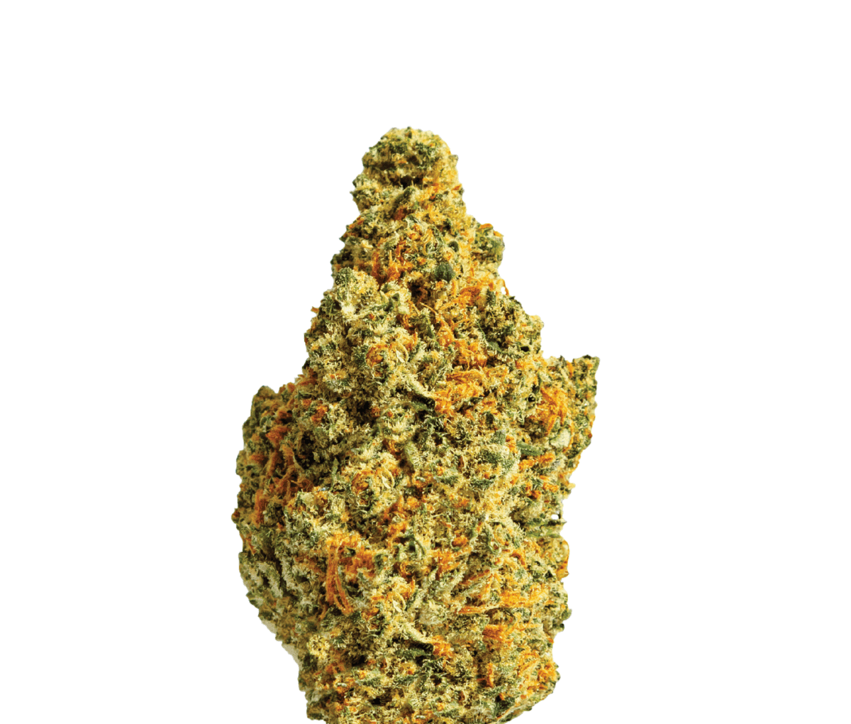 ZOIKS 26/1 TG - Tangrini