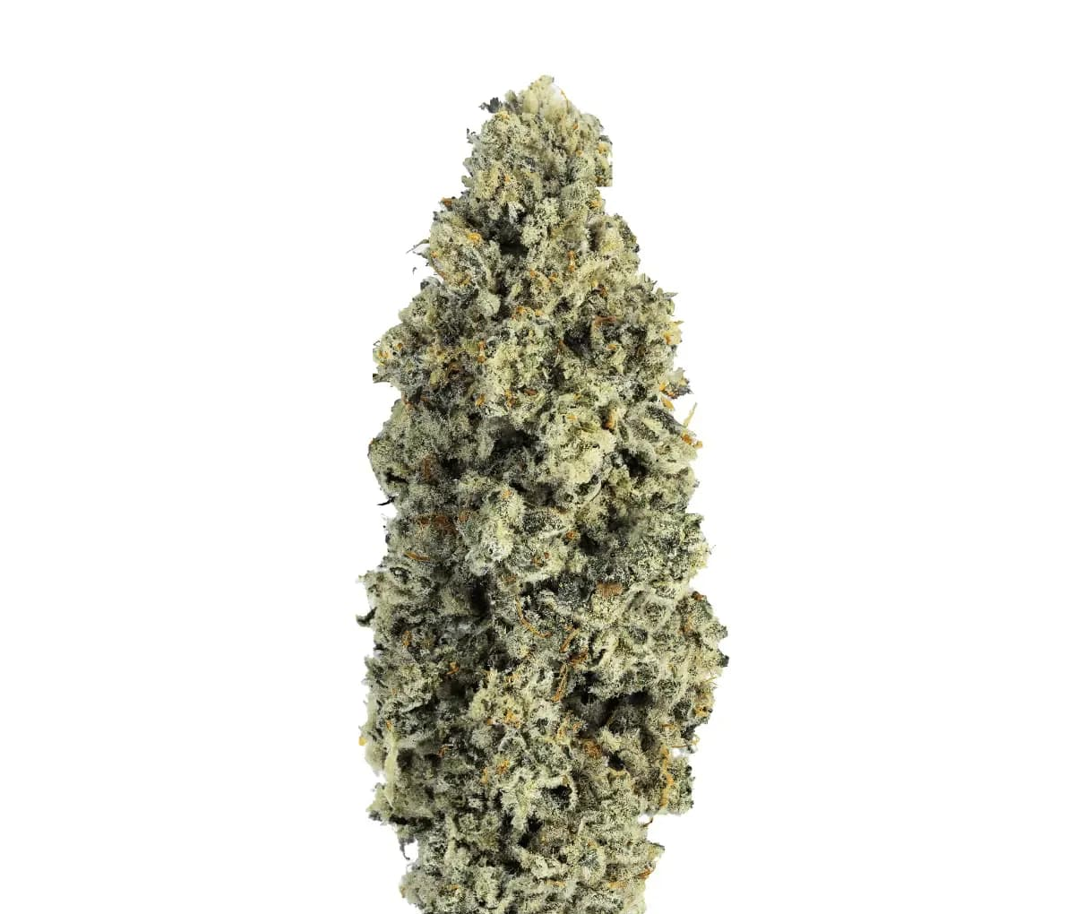 SOMA OG 34/1 PF CAP Junky