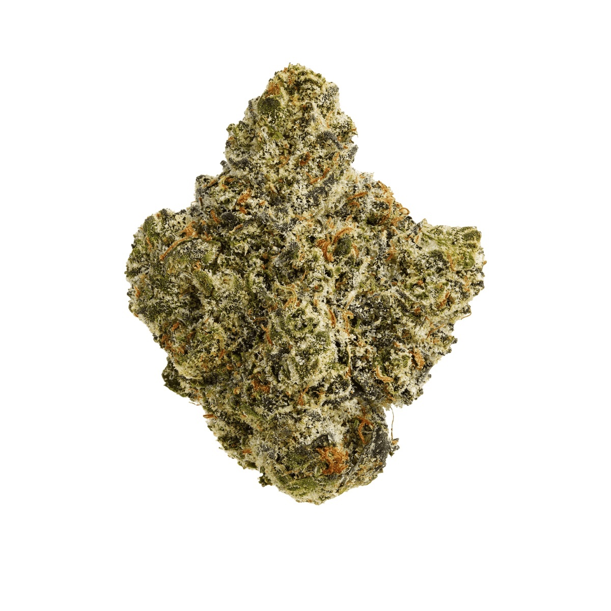 Organic Sweetgrass TQN 27/1 - Triangle Queen Organic Sweetgrass TQN 27/1 - Triangle Queen