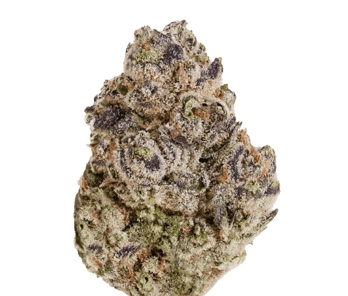 Enua BCP 22/1 - Black Cherry Punch 